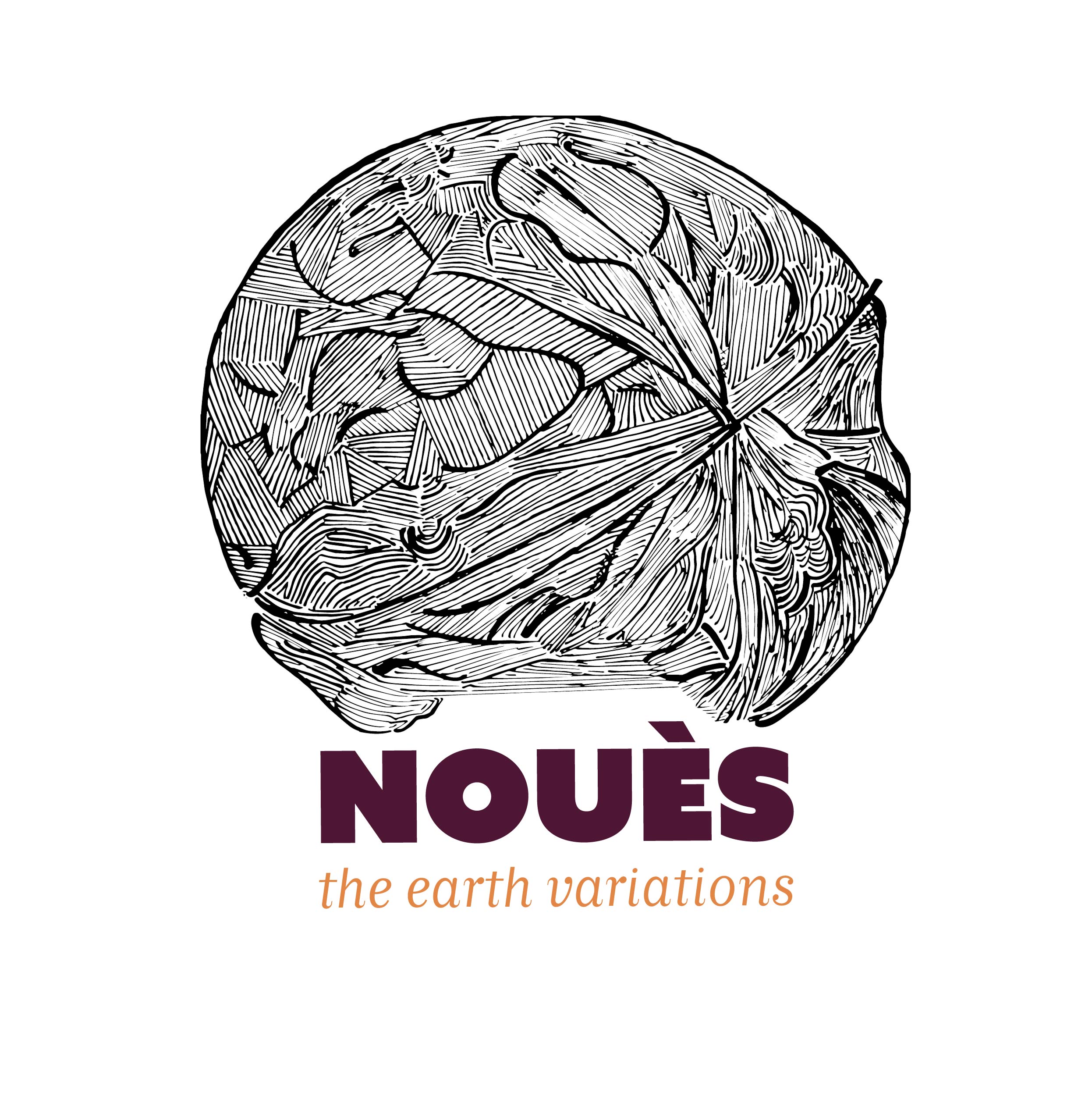 nouès earth variations logo design - image of the created logo