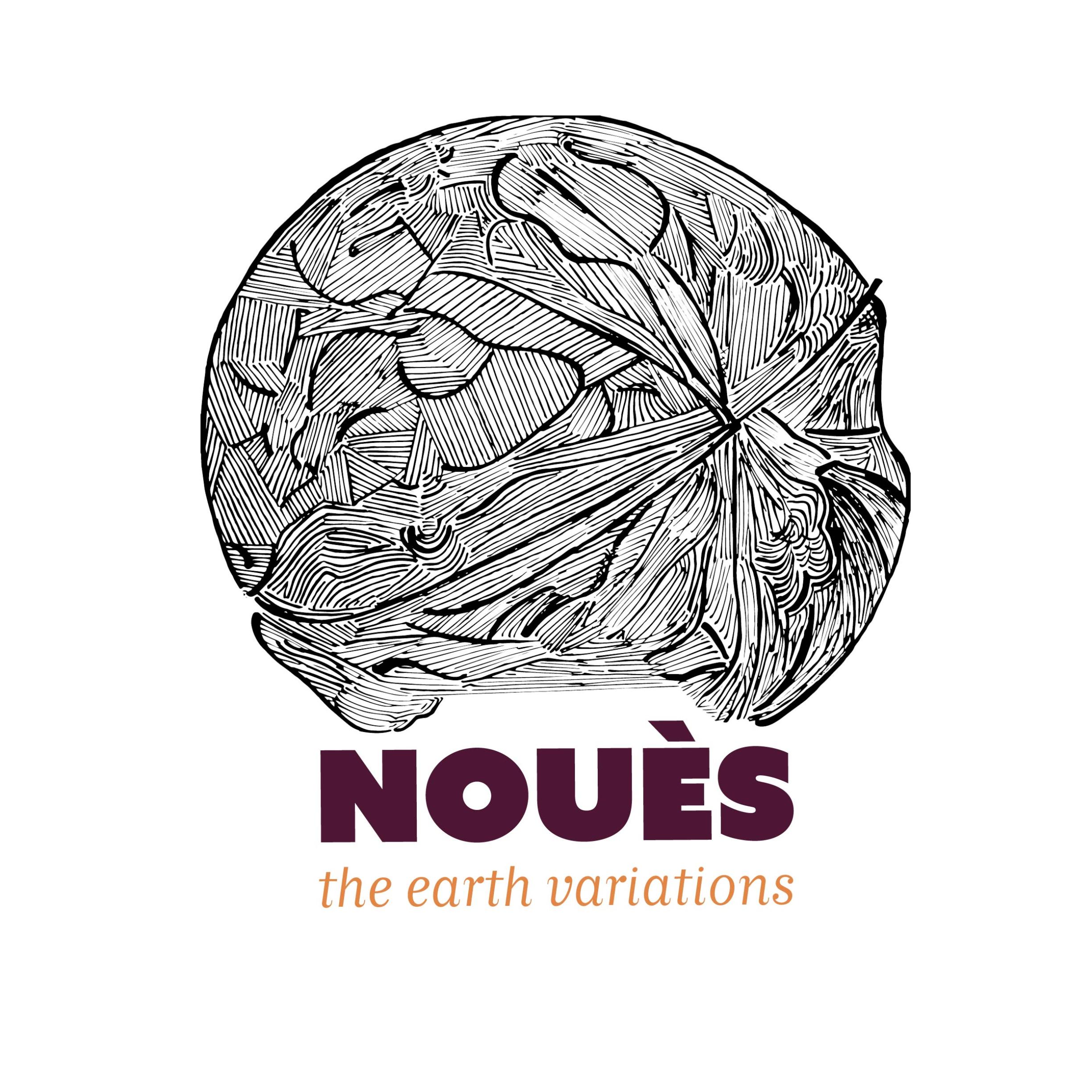 noues-the-earth-variations-logo-design